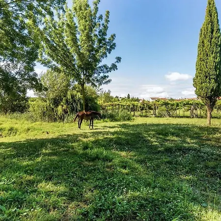 Farm stay Quinta Dos Lagos *