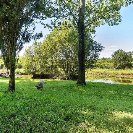 Quinta Dos Lagos Farm stay
