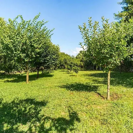Quinta Dos Lagos *