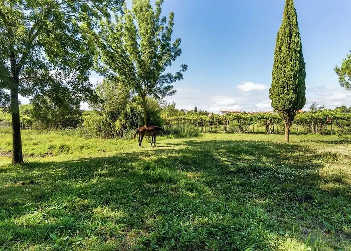 팜스테이 Quinta Dos Lagos *