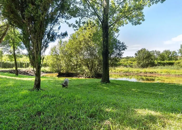 Quinta Dos Lagos 팜스테이